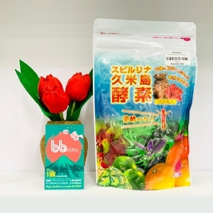 Tảo xoắn Spirulina bổ sung rau củ quả - 1200 viên
