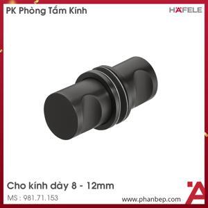 Tay nắm cho cửa kính đen mờ Hafele 981.71.153