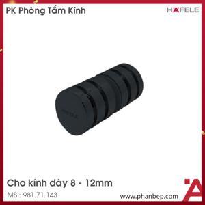 Tay nắm cho cửa kính đen mờ Hafele 981.71.143