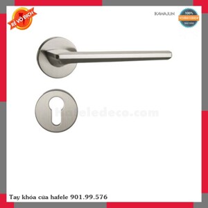 Tay nắm gạt Hafele 901.99.576