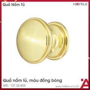 Tay nắm tủ tròn Hafele 137.32.824