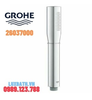 Tay sen Grohe 26037000