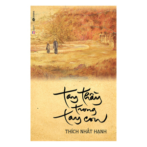 Tay Thầy Trong Tay Con