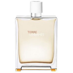 Nước hoa nam Terre D'Hermes (EDT - 125ml)