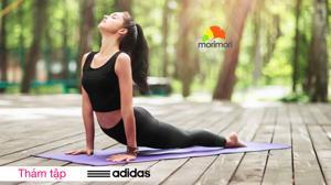 Thảm Yoga Adidas 8mm ADYG-10100