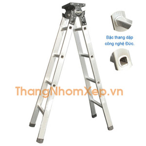 Thang chữ A phổ thông TA25 - 2,5 m