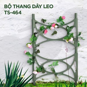 Thang trồng dây leo Tashuan TS-464