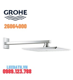 Thanh treo Bát sen Grohe 26064000