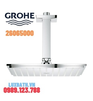 Thanh treo Bát sen Grohe 26065000