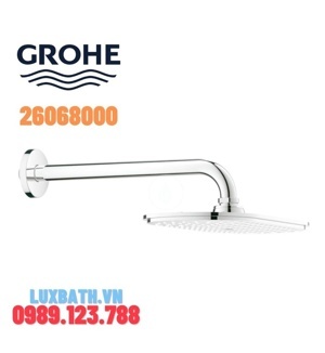 Thanh treo Bát sen Grohe 26068000