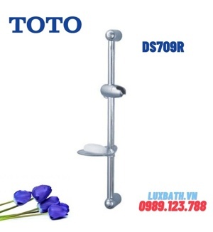 Thanh trượt sen tắm Toto DS709R