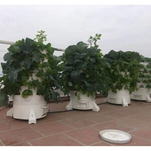 Tháp trồng rau hữu cơ Eco tại nhà