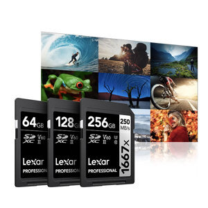 Thẻ nhớ SDXC Lexar 64GB UHS-II 1667X