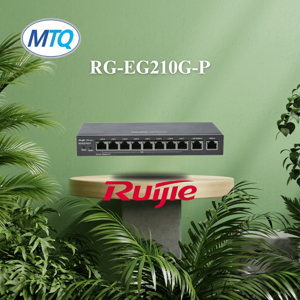 Thiết bị cân bằng tải Ruijie Reyee RG-EG210G-P