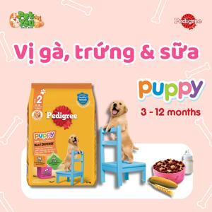 Thức ăn cho chó Pedigree Puppy Chicken & Egg Flavor (vị gà và trứng) - 1.5 kg