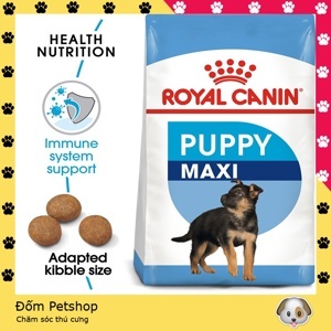Thức ăn cho chó Royal Canin Maxi Adult - 4kg, dành cho chó từ 26-44kg và trên 15 tháng tuổi