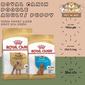 Thức ăn cho chó Royal Canin Poodle Junior - 1.5kg, dành riêng cho Poodle từ 2-10 tháng tuổi