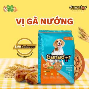 Thức ăn cho chó trưởng thành ganador adult túi 400g