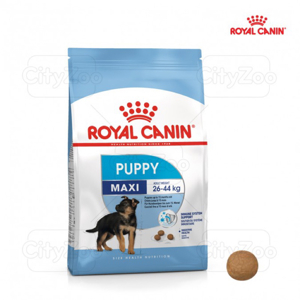 Thức ăn chó Royal Canin Maxi Puppy - 10kg