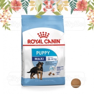 Thức ăn chó Royal Canin Maxi Puppy - 10kg