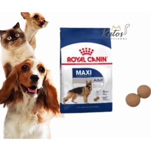 Thức ăn chó Royal Canin Maxi Puppy - 1kg