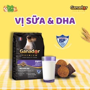 Thức ăn hạt cho Chó con Ganador Puppy - 500g, dành cho chó dưới 10 tháng tuổi