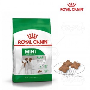 Thức ăn khô cho chó Royal Canin Mini Adult - 800g, dành cho chó từ 0-10kg và trên 10 tháng tuổi