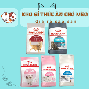 Thức ăn mèo Royal Canin Kitten 10kg