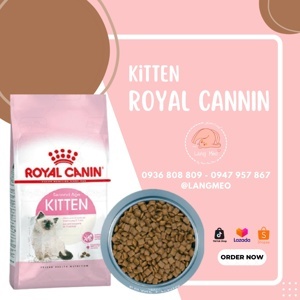 Thức ăn mèo Royal Canin Kitten 10kg