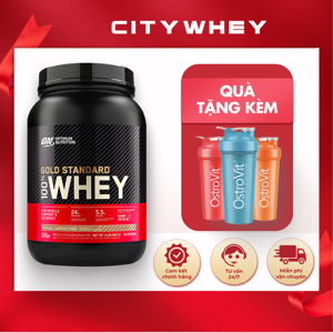 Thực phẩm bổ sung Optimum Nutrition Whey Gold Standard 2Lbs