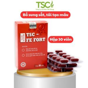 Thực phẩm Fe Fort bổ sung dinh dưỡng cho mẹ