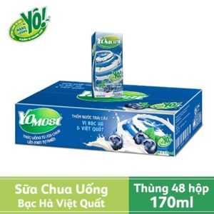 Thùng 48 hộp sữa chua uống bạc hà việt quất YoMost 170ml