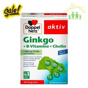 Thuốc bổ não Doppelherz Aktiv Ginkgo 40 viên