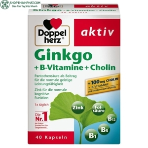 Thuốc bổ não Doppelherz Aktiv Ginkgo 40 viên