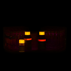 Thuốc thử photpho tổng thang cao Hanna HI93763B-50