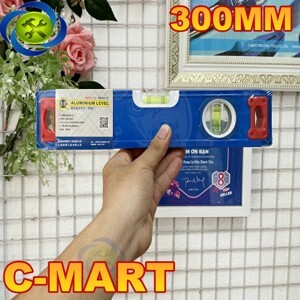 Thước thuỷ có từ C-Mart 300mm D0013-12