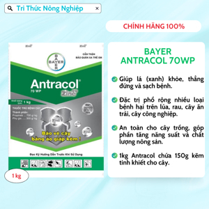 Thuốc trừ bệnh Antracol 70wp 1kg