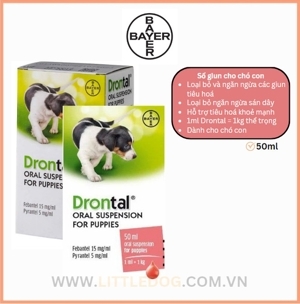 Thuốc xổ giun sán cho mèo Bayer Drontal 1 hộp x 8 viên