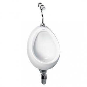 Tiểu nam Cotto C307