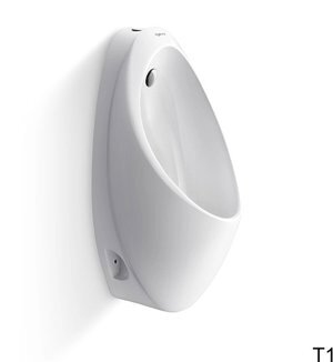 Tiểu nam Viglacera T1