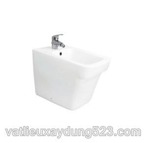 Tiểu nữ Viglacera VB50