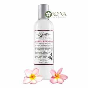 Tinh dầu hoắc hương Tiffany's Rose Pure Esssential Oils Patchouli Uplifting 10ml