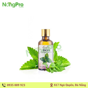 Tinh dầu bạc hà Lam Hà 10ml