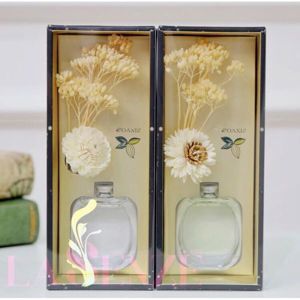 Tinh dầu nước hoa Pháp Aroma Perfume Oil 12 Ml