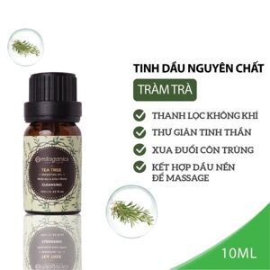 Tinh dầu tràm trà Milaganics hương thơm ấm áp đặc trưng, giúp trị cảm, ho 30ml