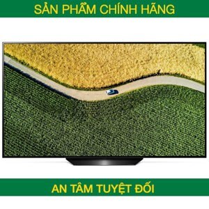 Tivi Smart OLED LG 65 inch 4K 65C9PTA