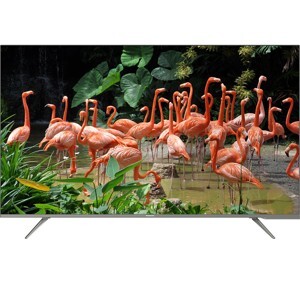 Smart Tivi Panasonic 55 inch 4K TH-55GX750V