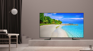 Tivi Smart Sony 65 inch 4K 65X9000F
