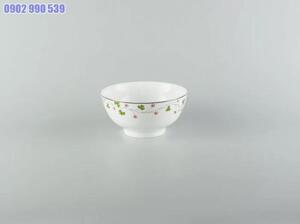 Tô cao 20 cm – Jasmine – Hoa May Mắn