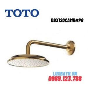 Tổ hợp sen âm tường Toto DBX120CAMR#PG